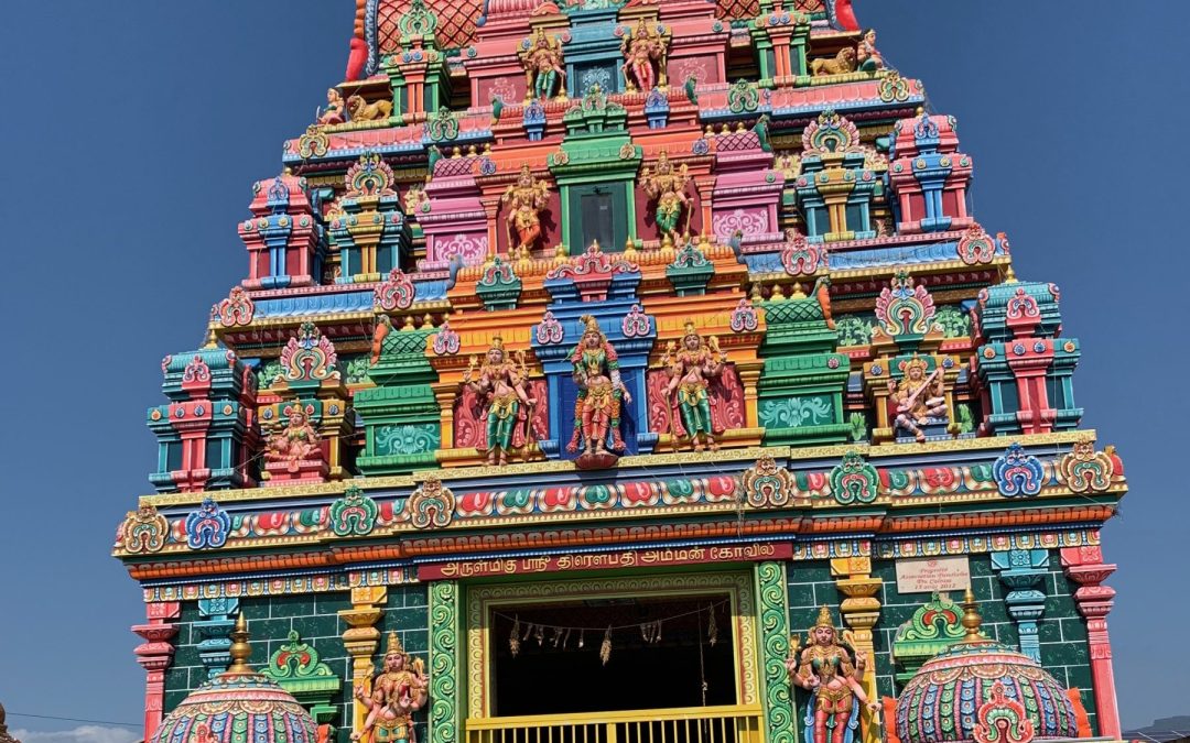 Guide Touristique à la Réunion