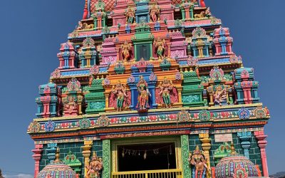 Guide Touristique à la Réunion